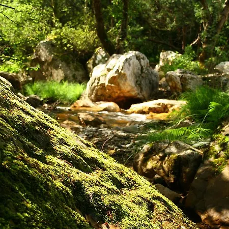 Rural Solar Freiras מלון 3*