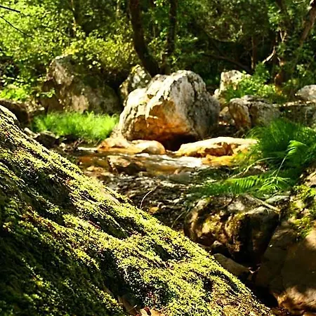 Rural Solar Freiras Hotel 3*