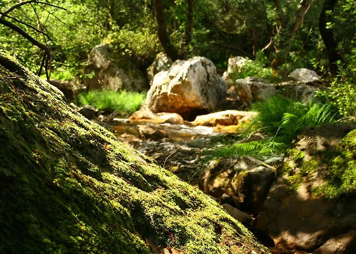 Rural Solar Freiras Hotel 3*